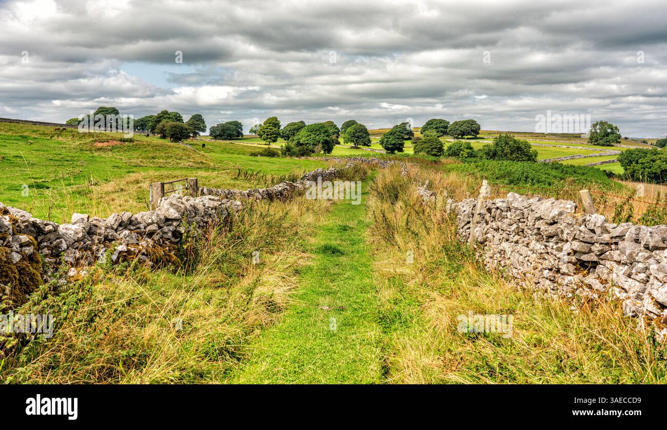 Eine typische grüne Straße, flankiert von Trockenmauern in der Nähe des Dorfes Sheldon im White Peak des Derbyshire Peak District UK Stockfoto