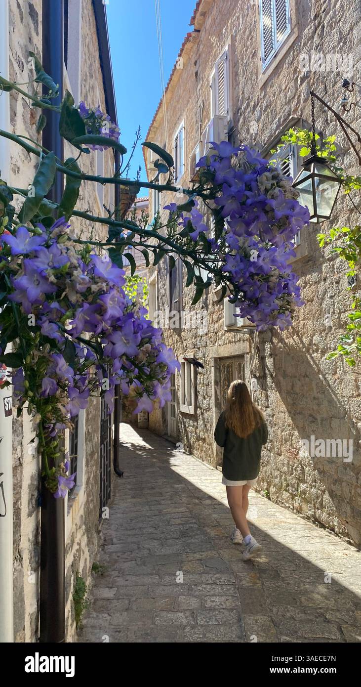 Eine Frau läuft durch eine enge Kopfsteinpflasterstraße in einer alten europäischen Stadt, umgeben von blühenden lila Blumen und Steinhäusern unter hellen Steinen - Smartphone-aufgenommenes Stockfoto