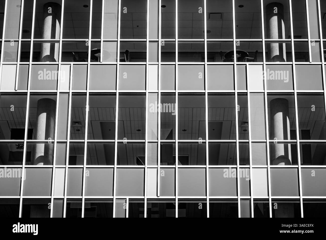 Architektonische Fassade des Waterfront Campus des Nova Scotia Community College in Dartmouth, Nova Scotia, Kanada. Stockfoto
