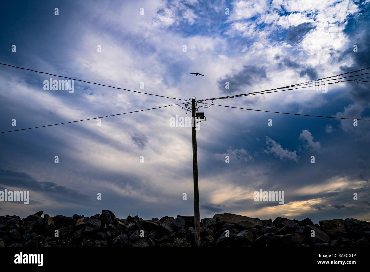 Versorgungsmasten und Drähte gegen einen bewölkten Himmel. Stockfoto