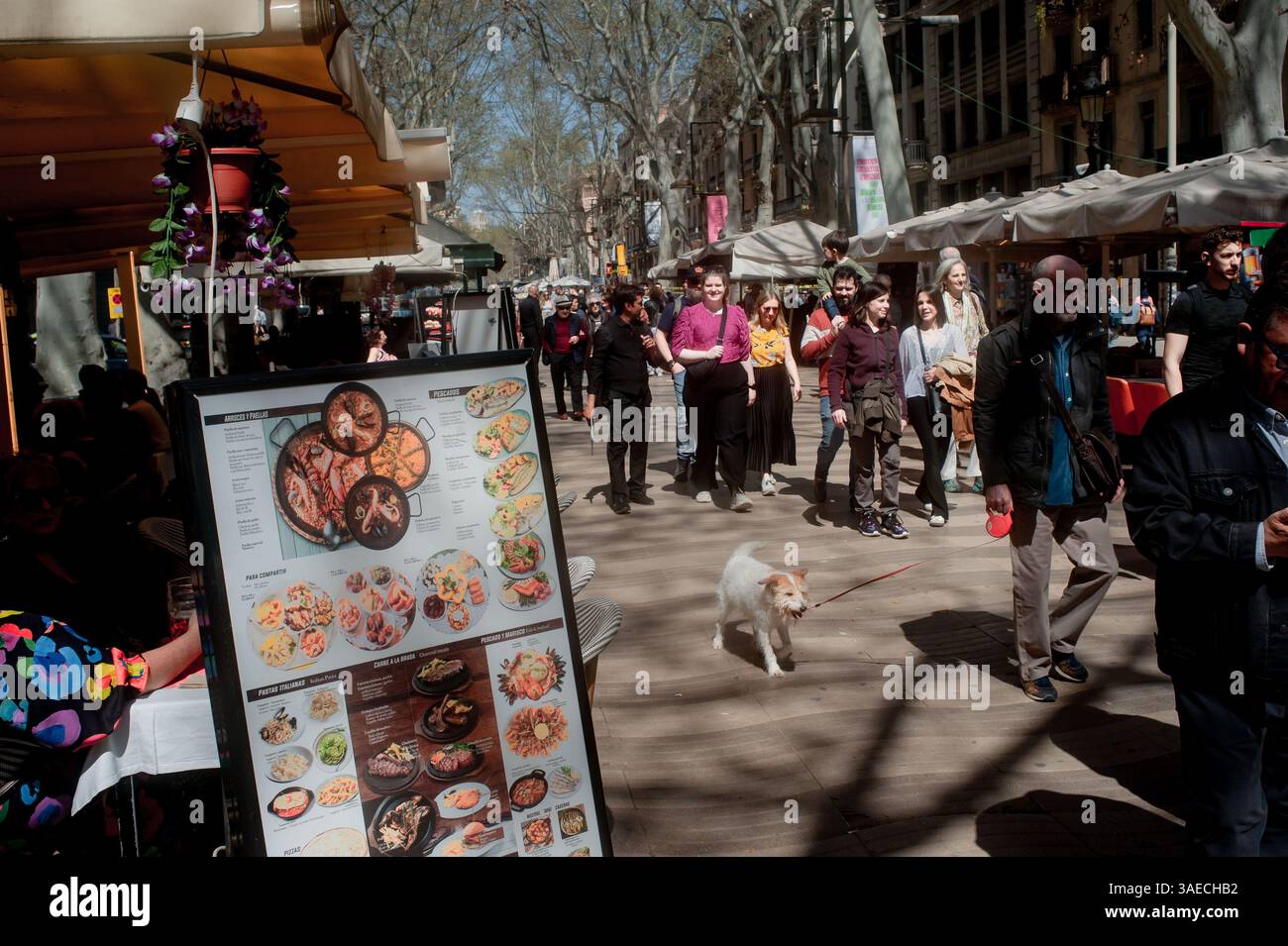 An diesem sonnigen Sonntag spazieren die Menschen die Rambla in Barcelona hinunter, einem der wichtigsten Touristenattraktionen der Stadt. Die Stadt Barcelona erwartet einen weiteren Rekord Stockfoto