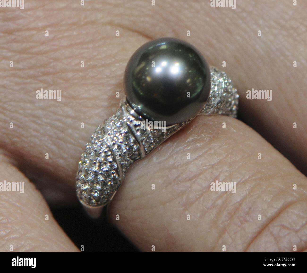 17. November 2011 - Albuquerque, NM, USA - Greg SORBER -- Ein Mikimoto Black Tahiti Perlenring mit Diamanten verkauft für $3400,00 bei Shelton Jewelers in 7001 Montgomery NE. (Bild: © Greg SORBER/Albuquerque Journal/ZUMAPRESS.com) Stockfoto