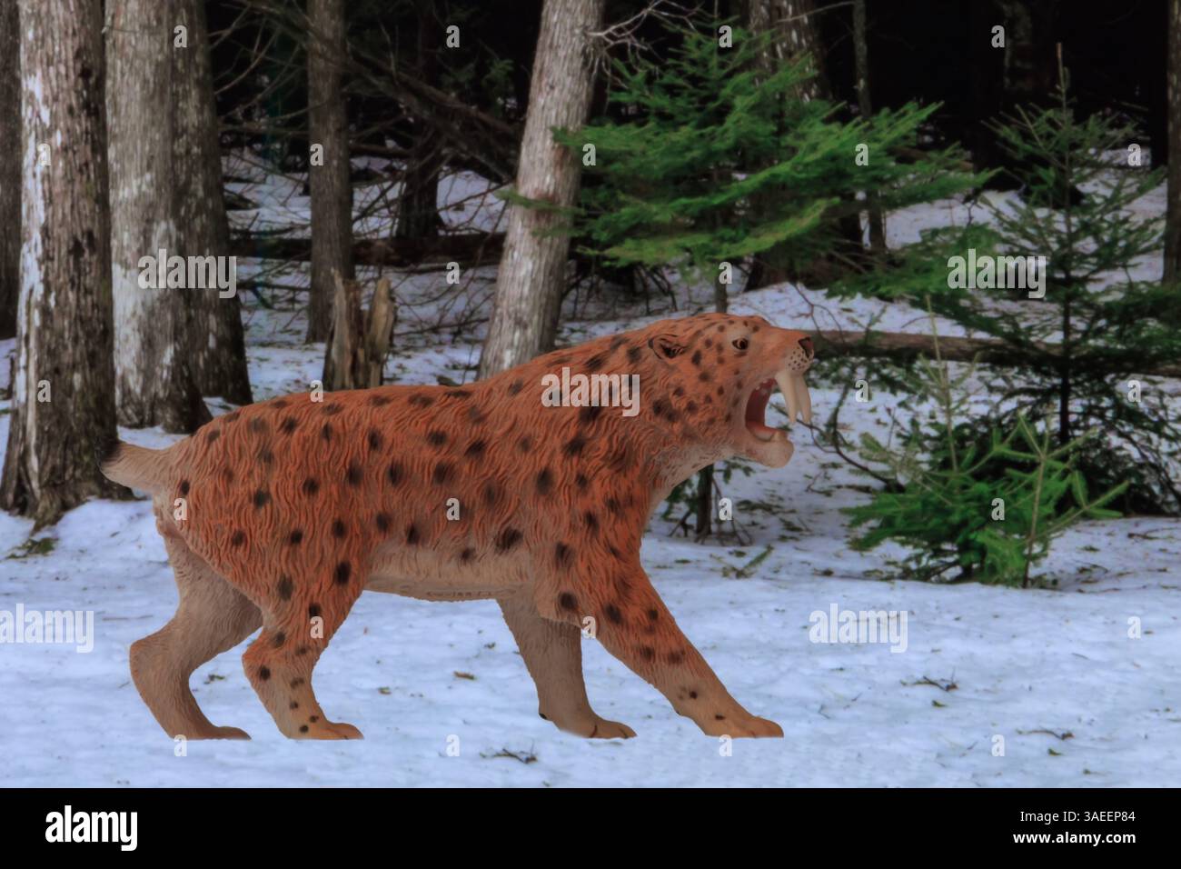 Der Smilodon von Collecta aus dem Jahr 2015 jagt in einer verschneiten Waldlandschaft. Stockfoto