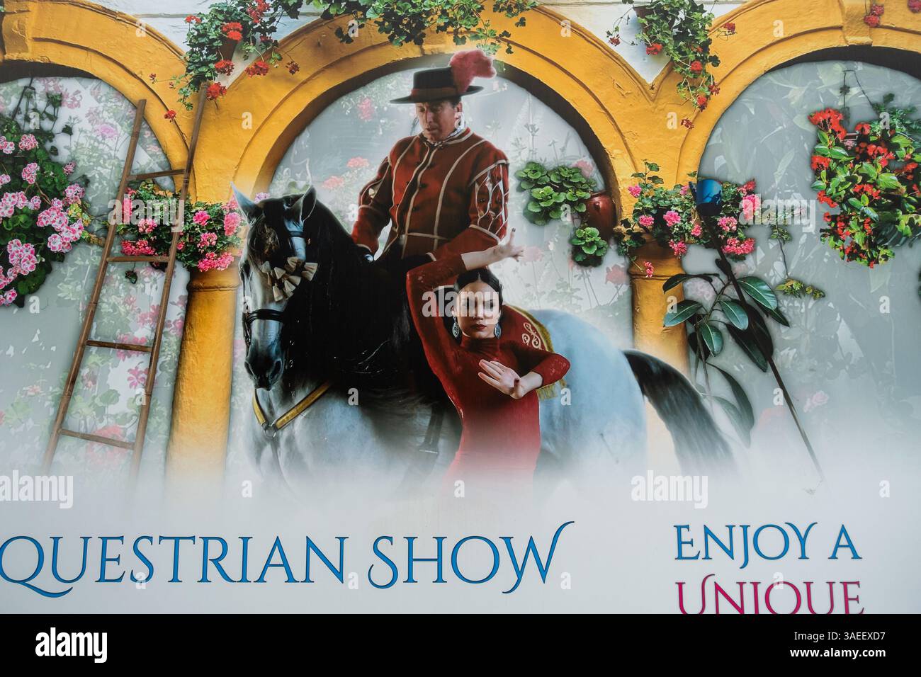 Werbeplakat mit reinrassigem spanischem Pferd und klassischem andalusischem Motiv in Cordoba, Spanien historische Königliche Ställe der Altstadt Stockfoto