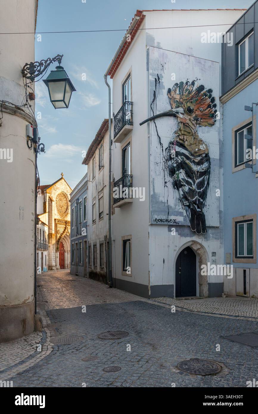 Santarém, Portugal - 20. März 2024: Straße im historischen Zentrum von Santarém in Portugal mit einem Straßenkunstwerk, das einen Vogel darstellt. Stockfoto