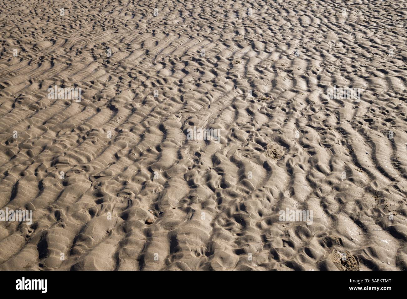 Komplizierte Muster werden durch abfallende Wellen in den nassen Sand gehauen und erzeugen eine faszinierende natürliche Textur Stockfoto