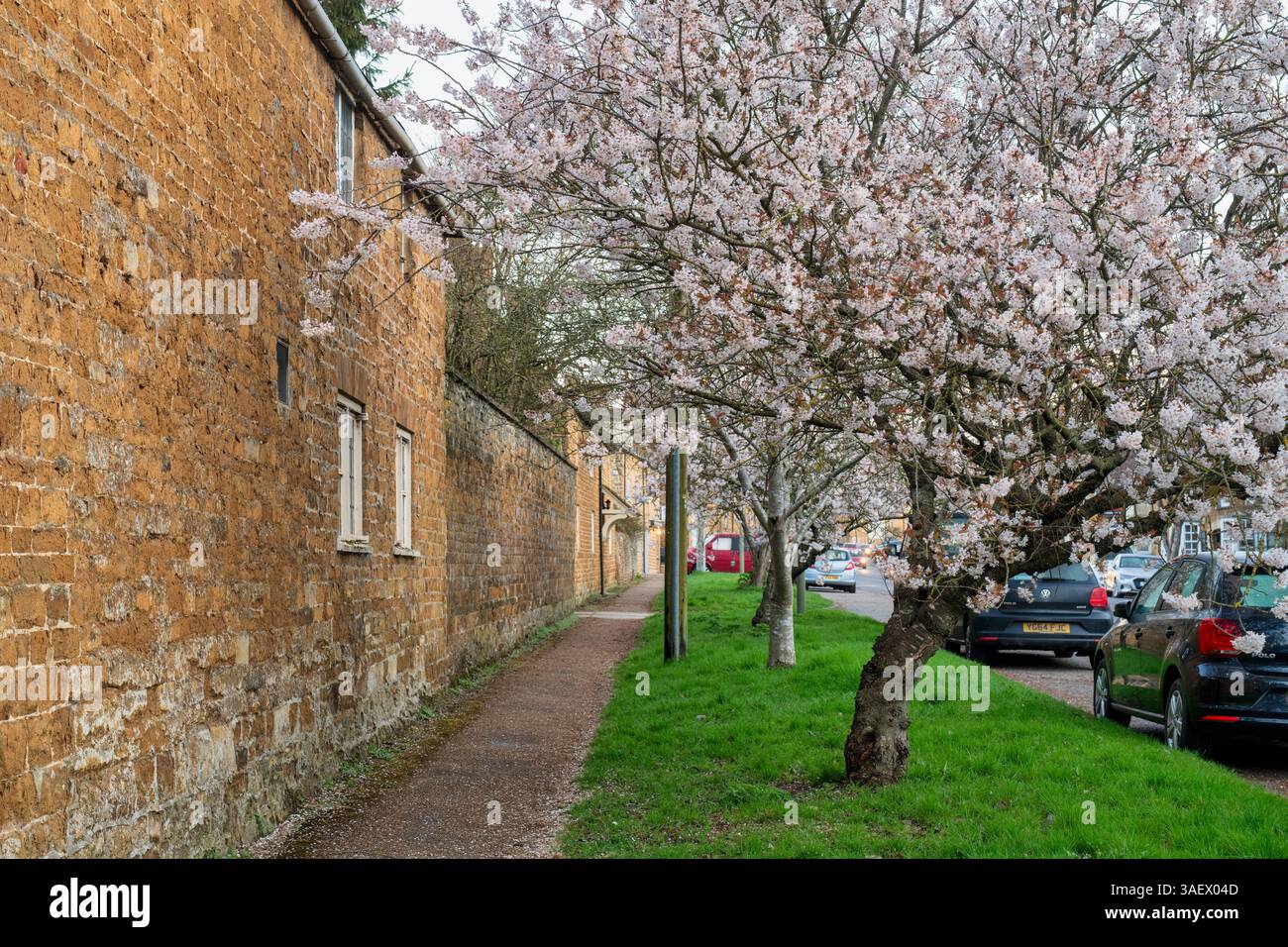 Kirschblüte in Deddington. Oxfordshire. England. Stockfoto