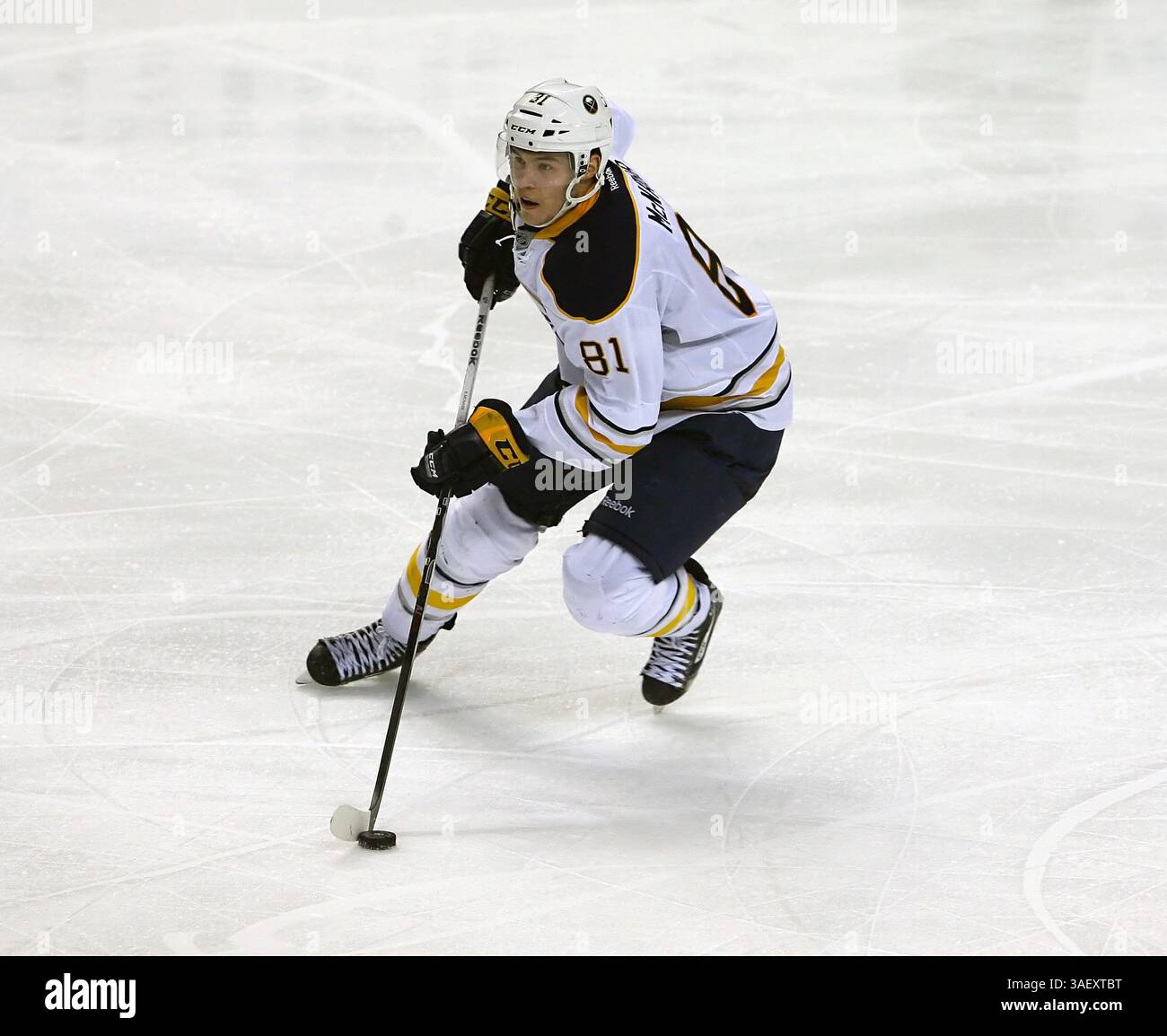 NHL Hockey-Fri, 13. Januar 2012, Buffalo Rookie Defenseman Brayden McNabb #81 trägt den Puck während der dritten Phase des NHL Hockey Game zwischen den Toronto Maple Leafs @ Buffalo Sabres im First Niagara Center in Buffalo NY. (Bild: © Nick Loverde/Cal Sport Media/ZUMAPRESS.com) Stockfoto