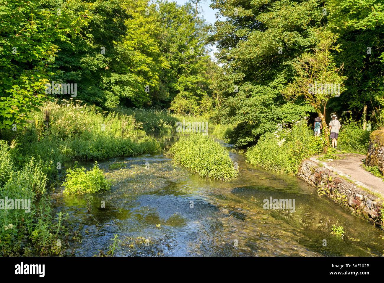 19. Juli 2024: Youlgreave, Derbyshire, Vereinigtes Königreich – der Fluss Bradford fließt durch Bäume, Paare in Hüten, die auf einem Kalksteinweg entlang laufen. Stockfoto