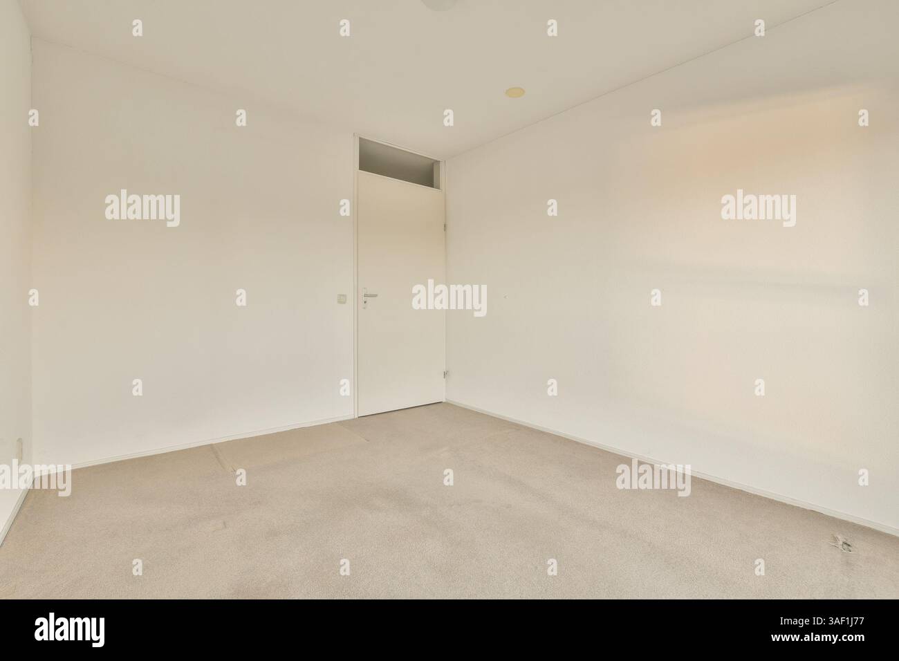 Ein minimalistisches Innenleben eines Zimmers mit weißen Wänden und einer geschlossenen Tür. Der Teppichboden ist leer, was ein Gefühl von Offenheit und Einfachheit schafft. Stockfoto