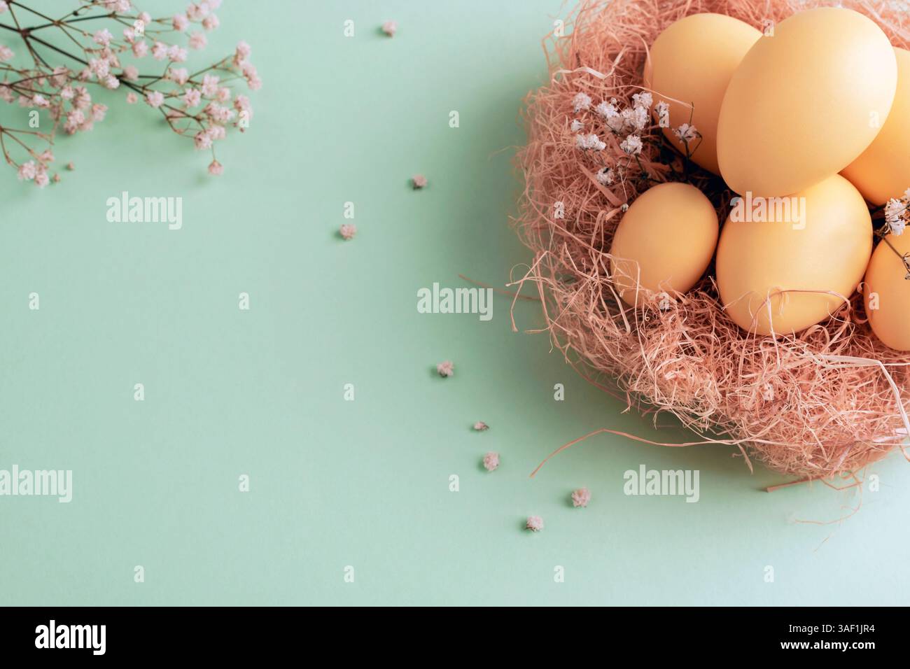 Gelbe Ostereier im Nest mit weißen Blüten auf grünem Hintergrund, minimale Zusammensetzung für Frühlingsferien. Draufsicht, Kopierraum. Stockfoto