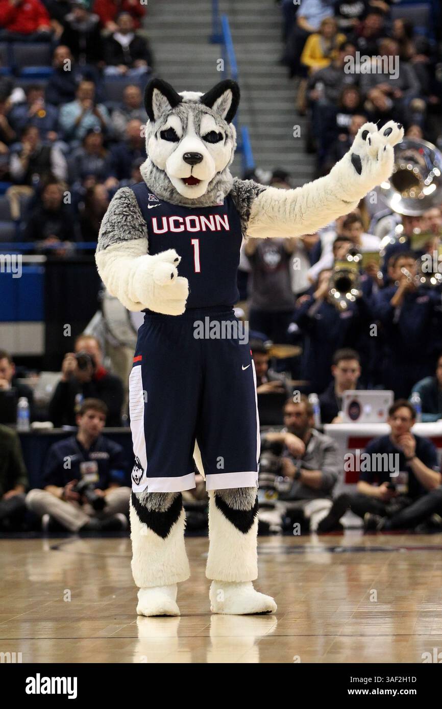 13. März 2015: Das Maskottchen der Connecticut Huskies während der Viertelfinalrunde des American Athletic Conference Turniers im XL Center in Hartford, Connecticut. Connecticut besiegte Cincinnati mit 57:54. Anthony Nesmith/Cal Sport Media (Kreditbild: © Anthony Nesmith/Cal Sport Media/ZUMAPRESS.com) Stockfoto