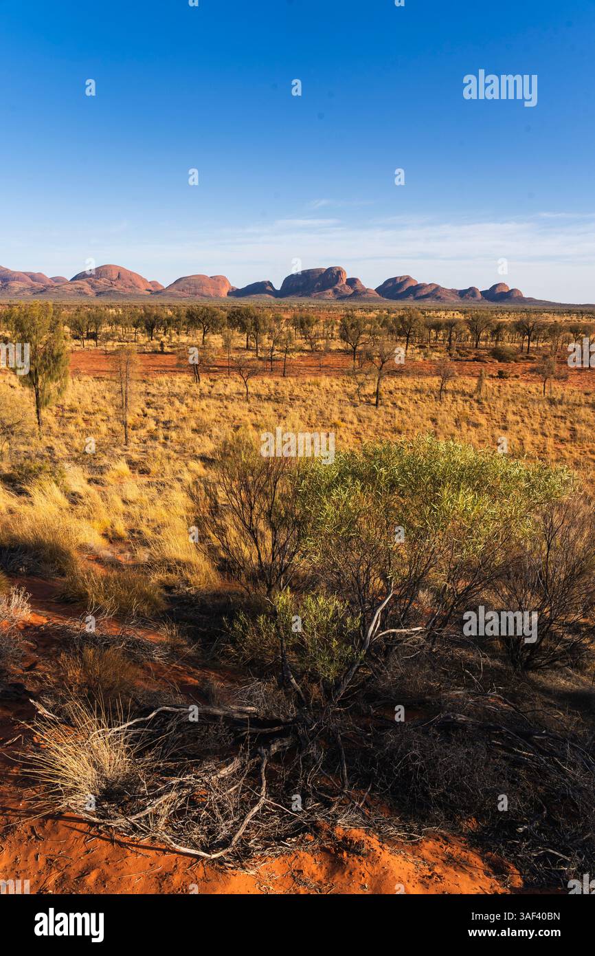 Erkunden Sie die majestätischen Felsformationen Kata Tjuta Stockfoto