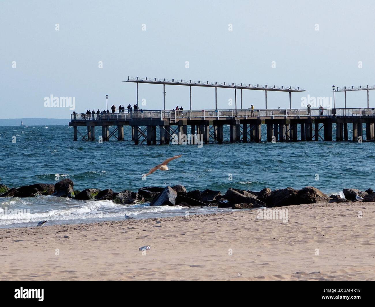 Coney Island Pier mit Flying Seagull, Springtime in Brooklyn, New York Stockfoto