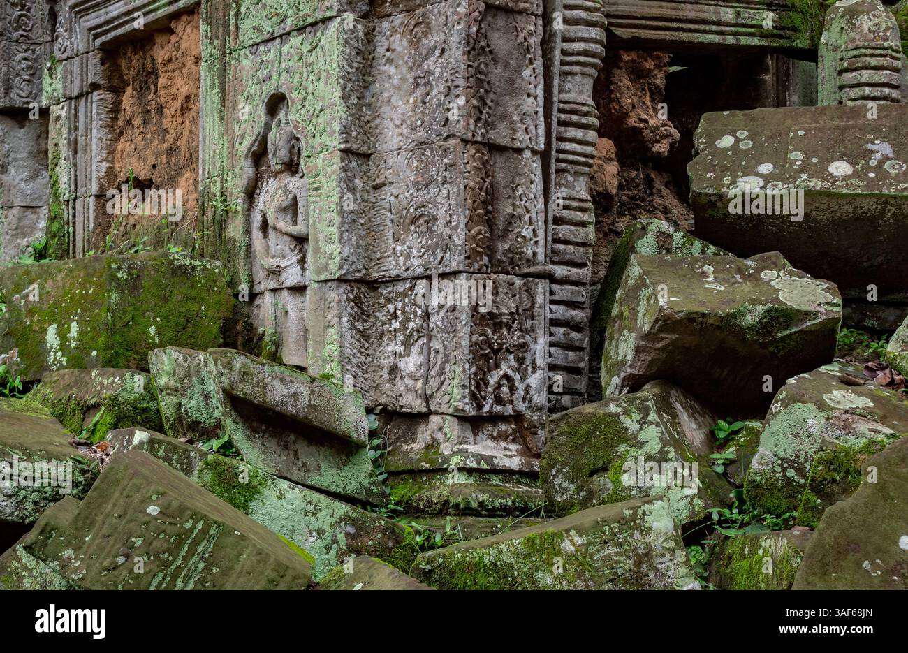 Moosbedeckte Steinschnitzereien an einer Gebäudemauer im Tempelkomplex Ta Prohm Tomb Raider. Angkor Wat historische Stätte, Siem Reap, Kambodscha Stockfoto