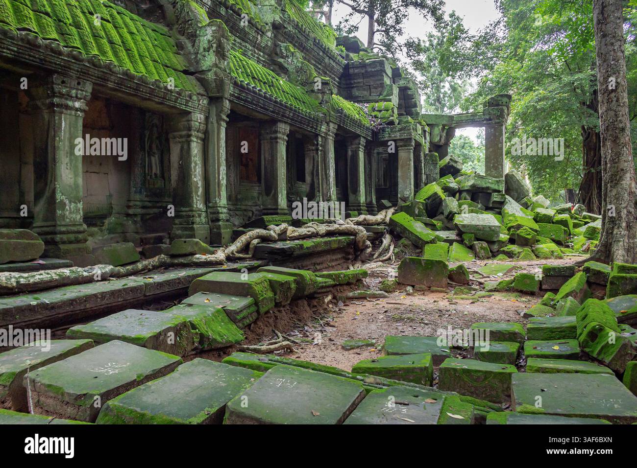 Mit grünem Moos bewachsenes Steingebäude und Ziegelsteine im Tempelkomplex Ta Prohm Tomb Raider. Angkor Wat historische Stätte, Siem Reap, Kambodscha Stockfoto