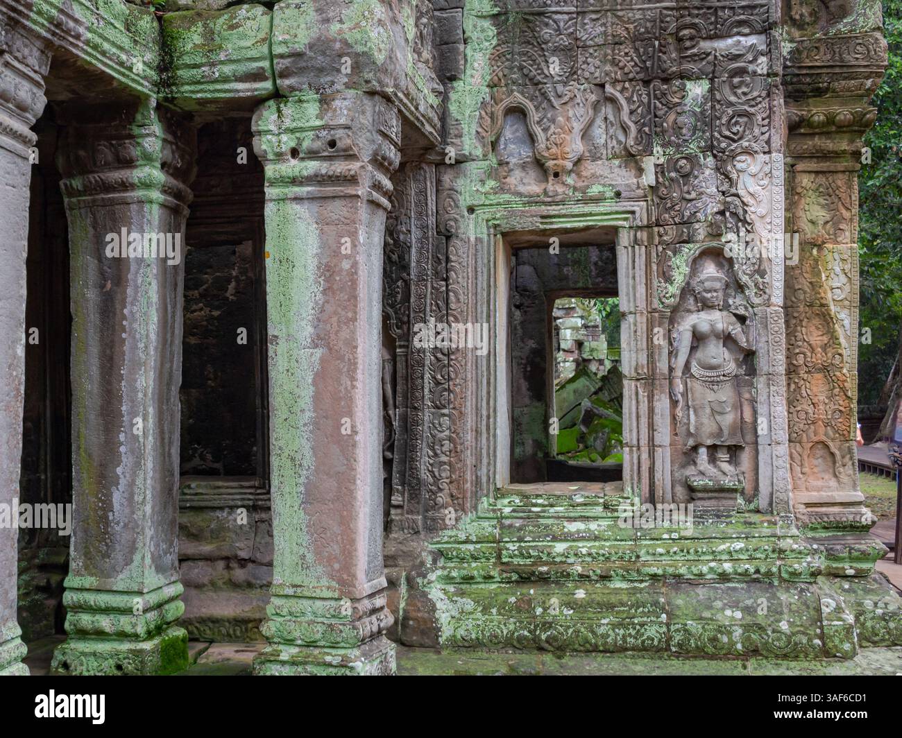 Moosbedeckte Steinschnitzereien an einer Gebäudemauer im Tempelkomplex Ta Prohm Tomb Raider. Angkor Wat historische Stätte, Siem Reap, Kambodscha Stockfoto