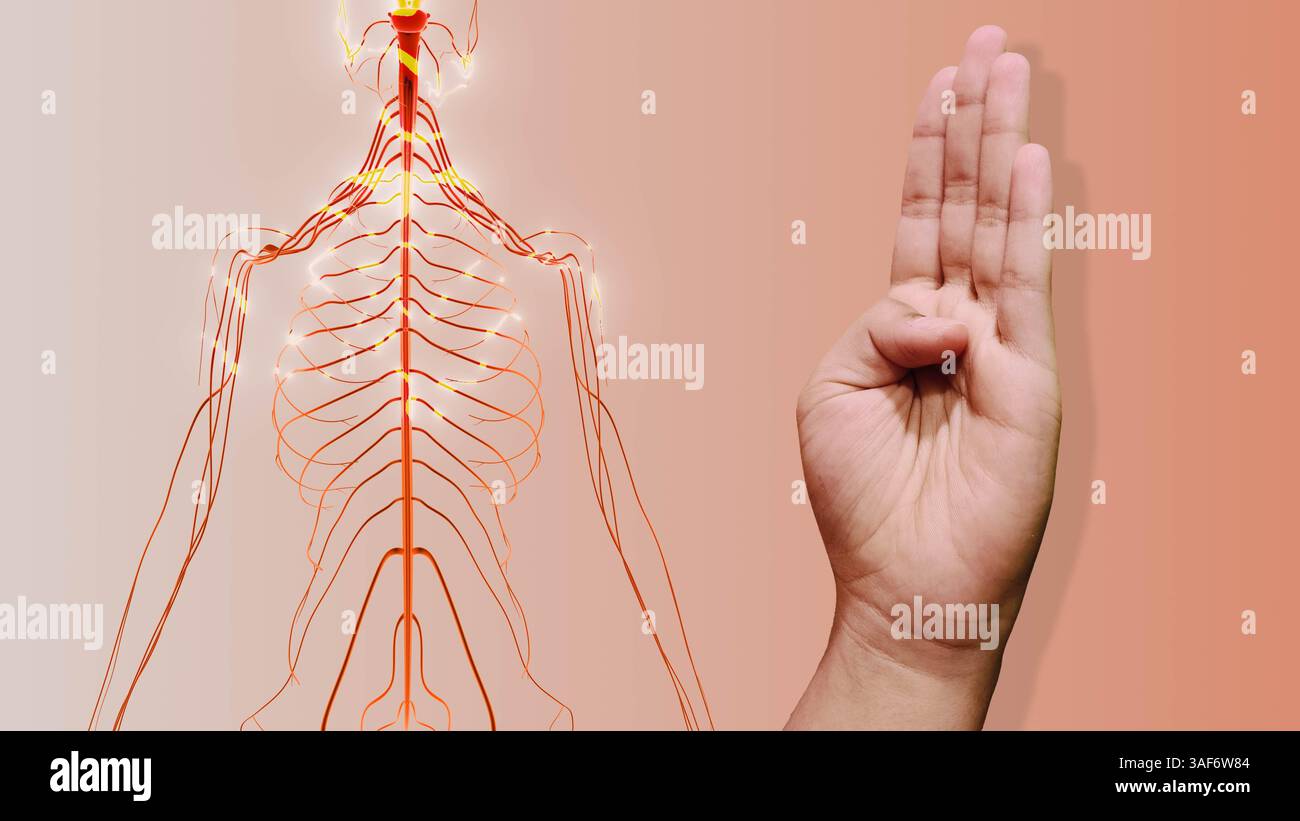 Hand Mudra für Nerv Health Stockfoto
