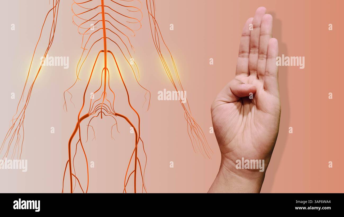 Hand Mudra zur Heilung des Nervensystems Stockfoto