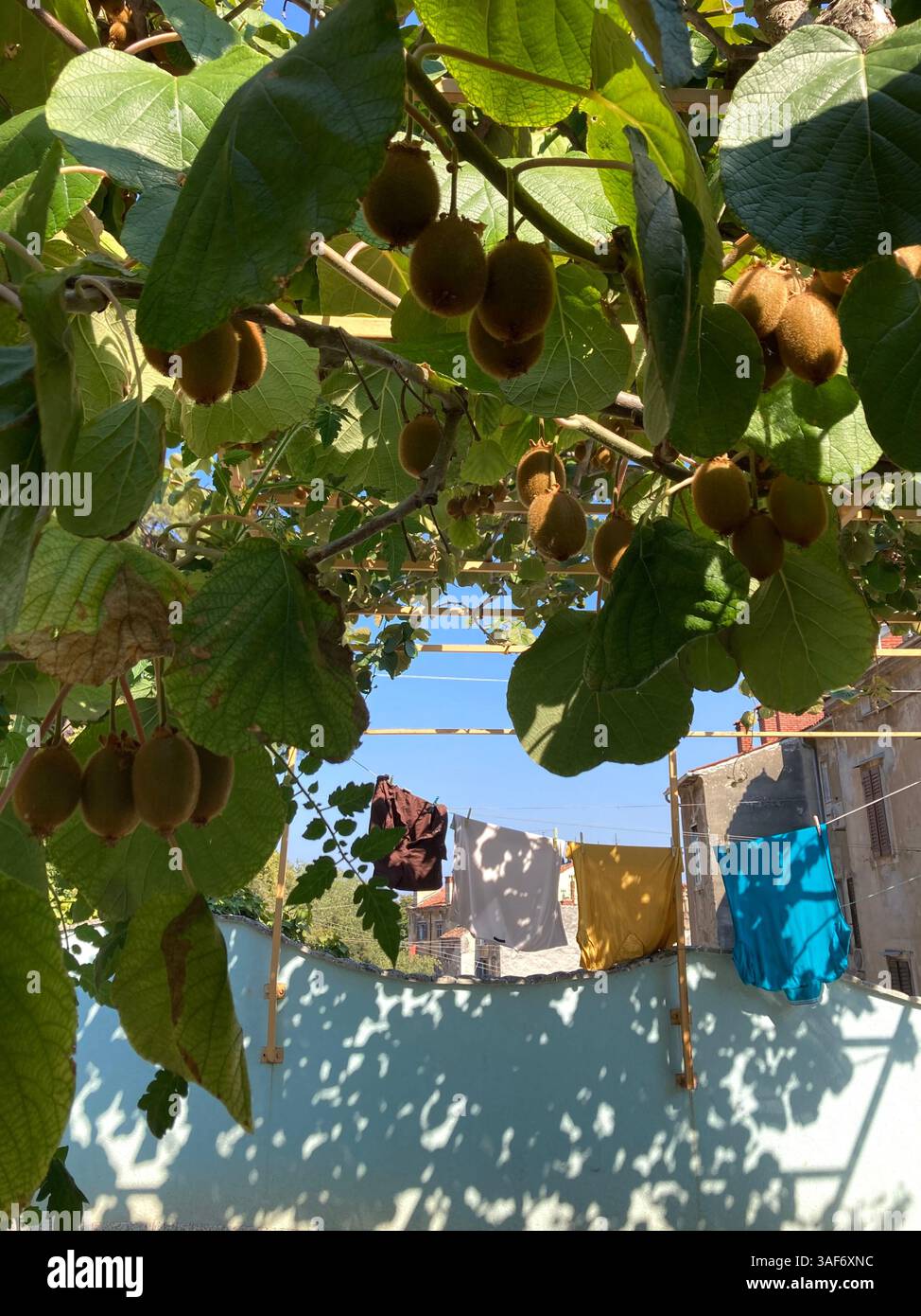 Wie Sonnenbaden in Kroatien aussieht - Smartphone-aufgenommenes Stockfoto