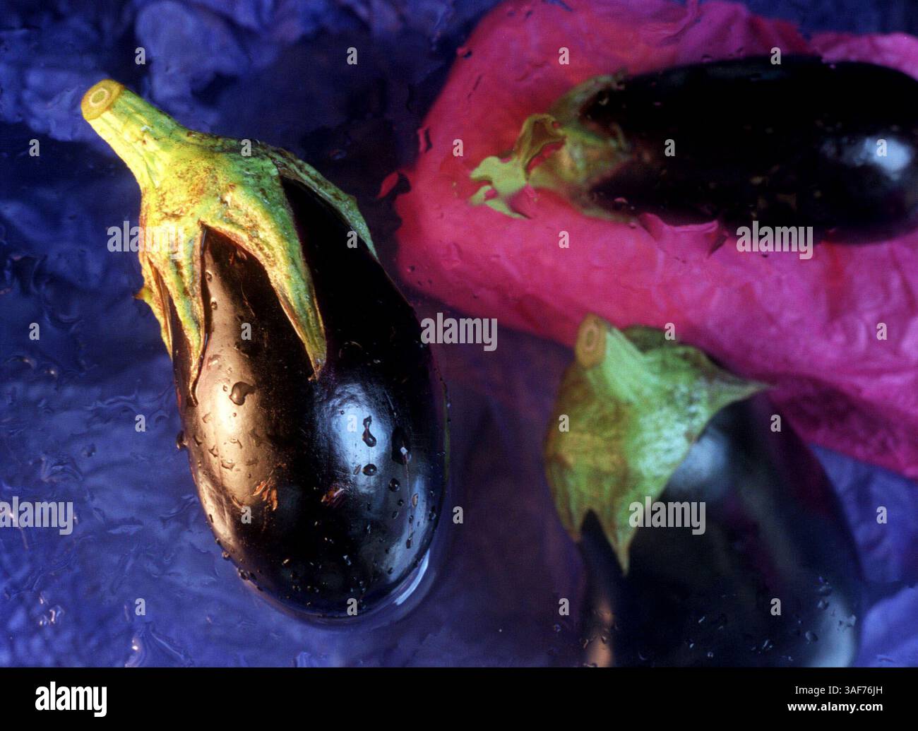 SP.91414.- - LIEFERUNG AN:.Floridian.-.9.2.2009.-.jamies Garage.--. BILDINFORMATIONEN:. Diese italienische Aubergine und die traditionelle Aubergine (Hintergrund) sind nur zwei der vielen verfügbaren Auberginen-Sorten (Credit Image: St Petersburg Times/ZUMAPRESS.com) Stockfoto