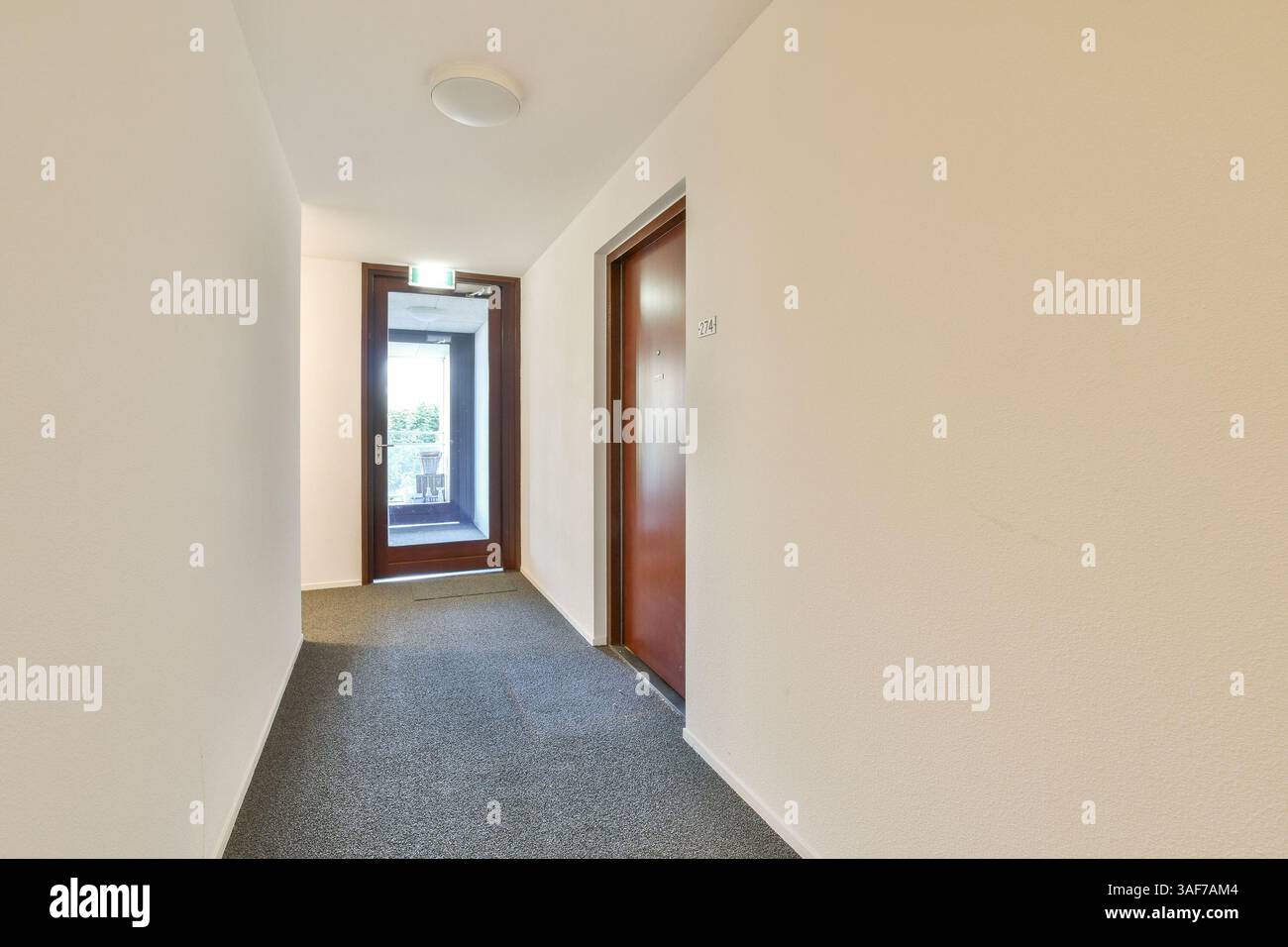 Ein moderner Korridor mit neutralen Wänden und zwei Holztüren sowie Teppichboden unterstreichen die moderne Ästhetik. Stockfoto