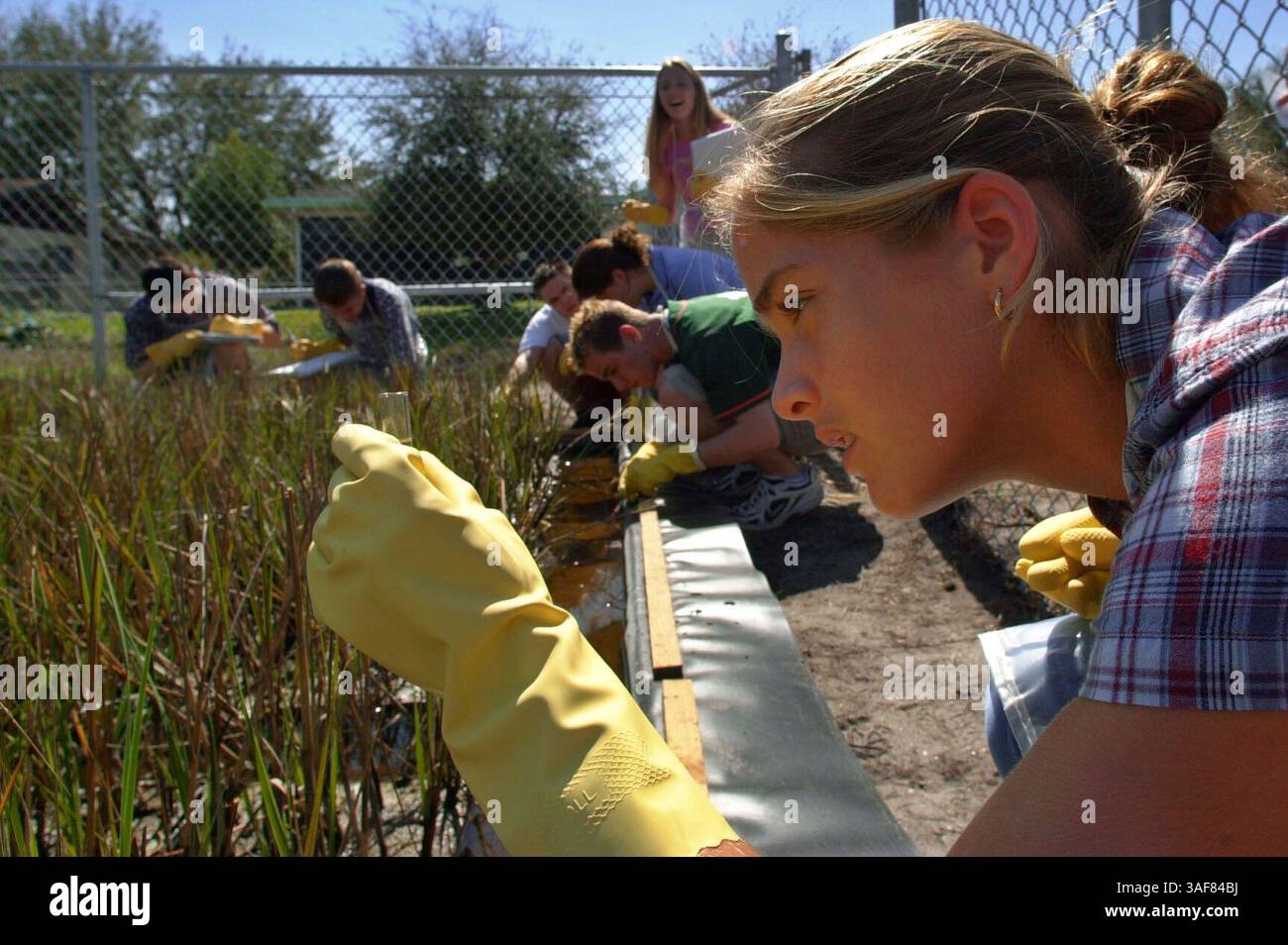 NP 117553 - - LIEFERUNG AN: NP Desk - - 2/14/2001 - - SEMINOLE CAPTION INFO: DIES IST DIGITAL Seminole High School Jr. Jordan Smith nimmt eine Wasserprobe aus einem kleinen Salzwassersumpf an ihrer Schule, um den PH-Gehalt des Wassers zu überprüfen. Laurie Vaughn-Grantges' Chemistry II ehrt Quality Point Klasse führt eine Vielzahl von Tests auf neu gepflanzten Salzwiesen hinter den Tennisplätzen der Seminole High School durch. Die Schüler prüfen auf Algen, testen auf Kupfer und Eisen, prüfen den Kohlendioxidgehalt, prüfen den Salzgehalt und andere Beobachtungen. Es ist Teil eines Zuschusses des Tampa Baywatch Projekts zur Wiederherstellung von Salzmarschen in Th Stockfoto