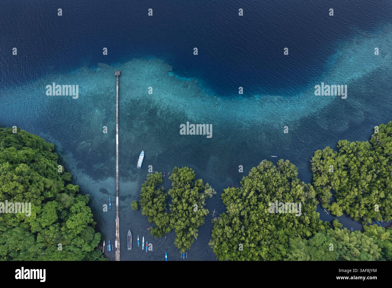 Lange Bootsanlegestelle und angelbotas im Mangrovenwald und den Korallenriffen in der tropischen Umgebung der Insel Sulawesi Stockfoto