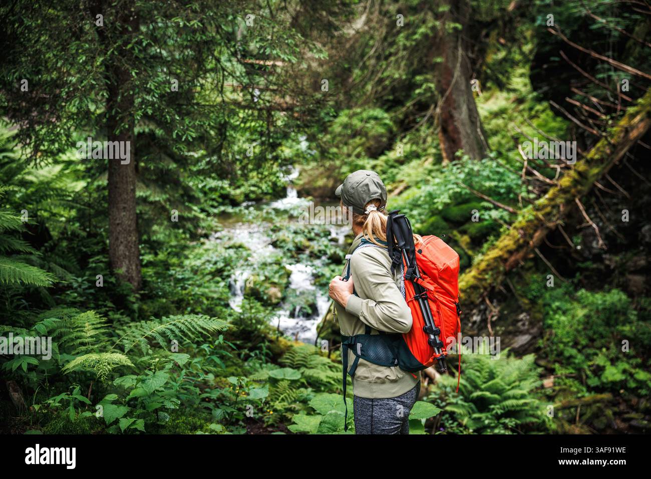 Wanderer mit Rucksack und Blick auf den Wald. Wandern und Erkunden in der Natur Stockfoto