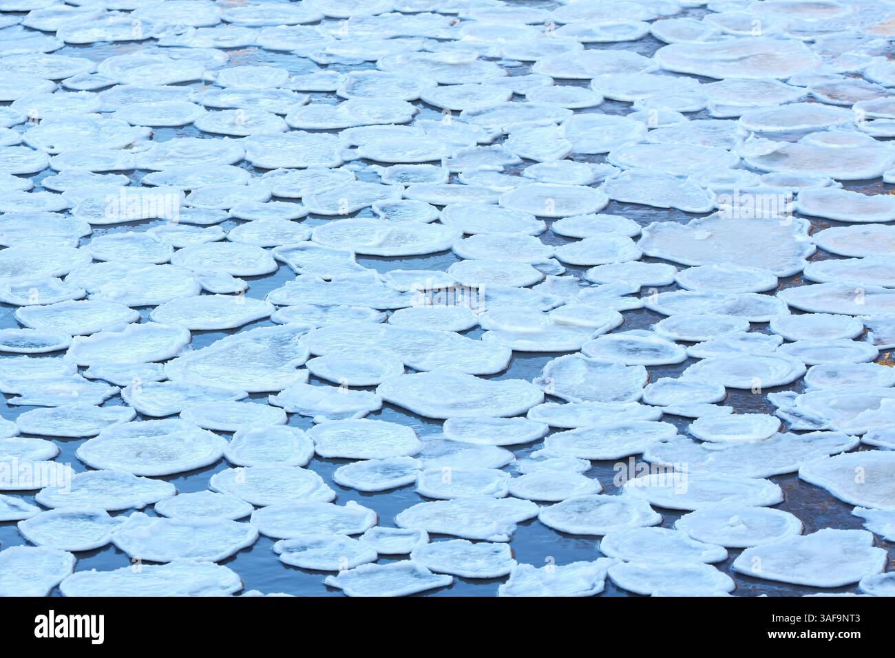 Kreisförmige Eisschollen, die im Wasser schwimmen. Stockfoto