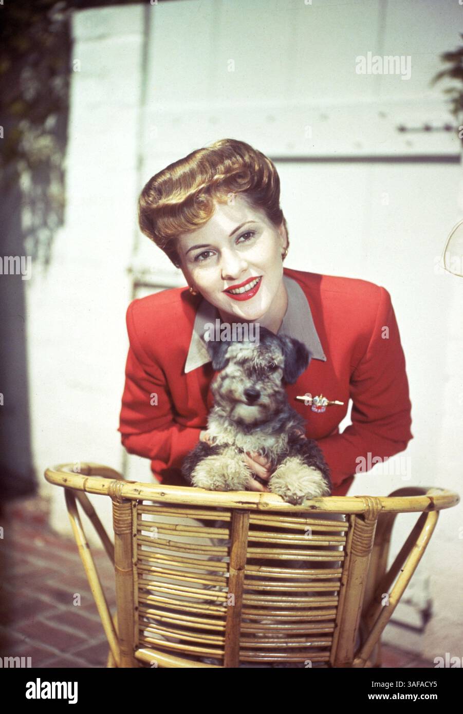 1951, ABGEBILDET: JOAN FONTAINE, TIERE (MIT SCHAUSPIELERN), HUND. (Kreditbild: Austral/ZUMAPRESS.com) Stockfoto