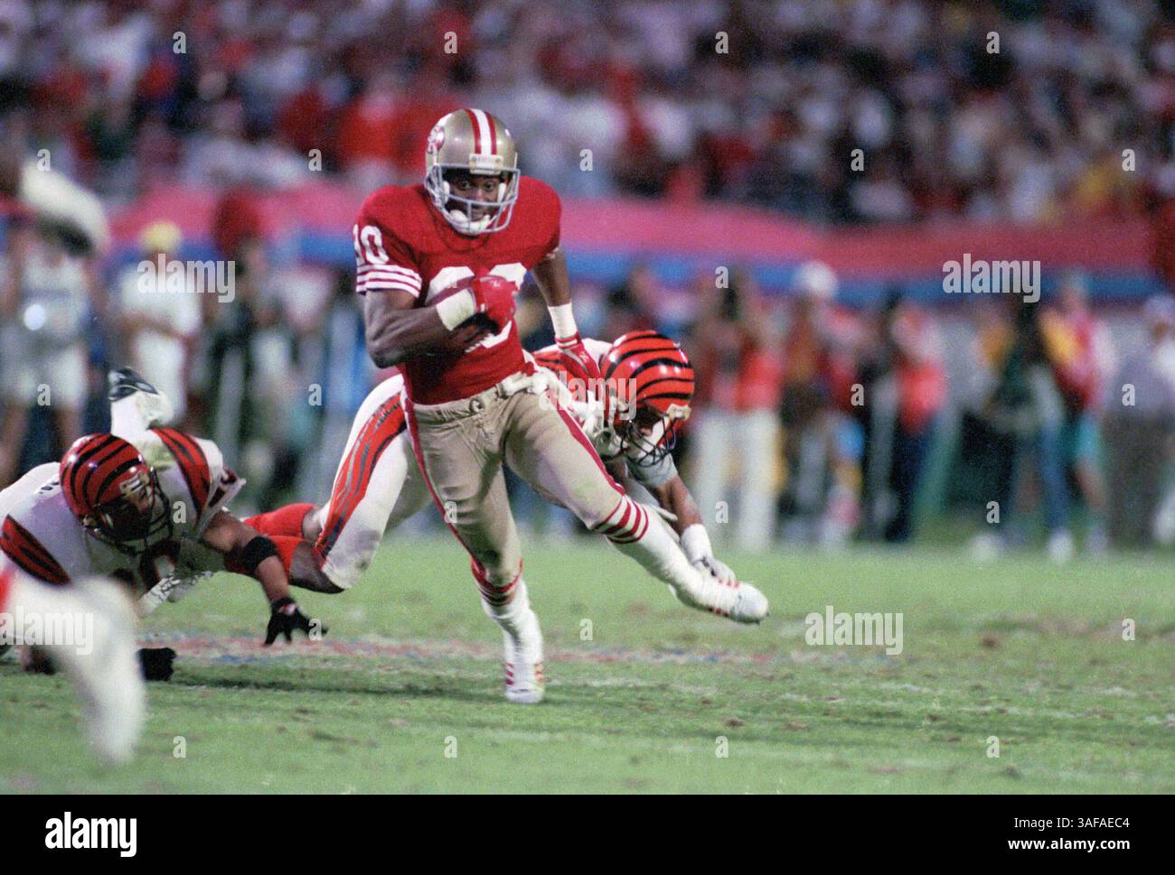 NFL Footballball 22. Januar 1989; Miami, FL, USA; Jerry Rice von den San Francisco 49ers im Super Bowl XXIII im Joe Robbie Stadium gegen die Cincinnati Bengals. Die 49ers gewannen das Spiel mit 20:16. Rice war der wertvollste Spieler des Spiels. (Bild: APEX MediaWire/ZUMAPRESS.com) Stockfoto