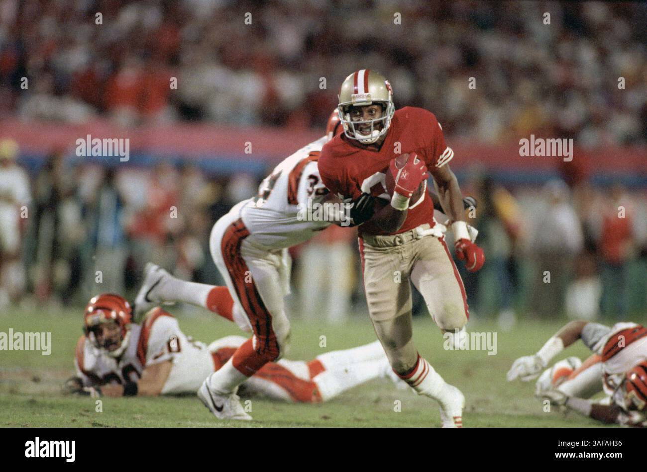 NFL Footballball 22. Januar 1989; Miami, FL, USA; Jerry Rice von den San Francisco 49ers im Super Bowl XXIII im Joe Robbie Stadium gegen die Cincinnati Bengals. Die 49ers gewannen das Spiel mit 20:16. Rice war der wertvollste Spieler des Spiels. (Bild: APEX MediaWire/ZUMAPRESS.com) Stockfoto