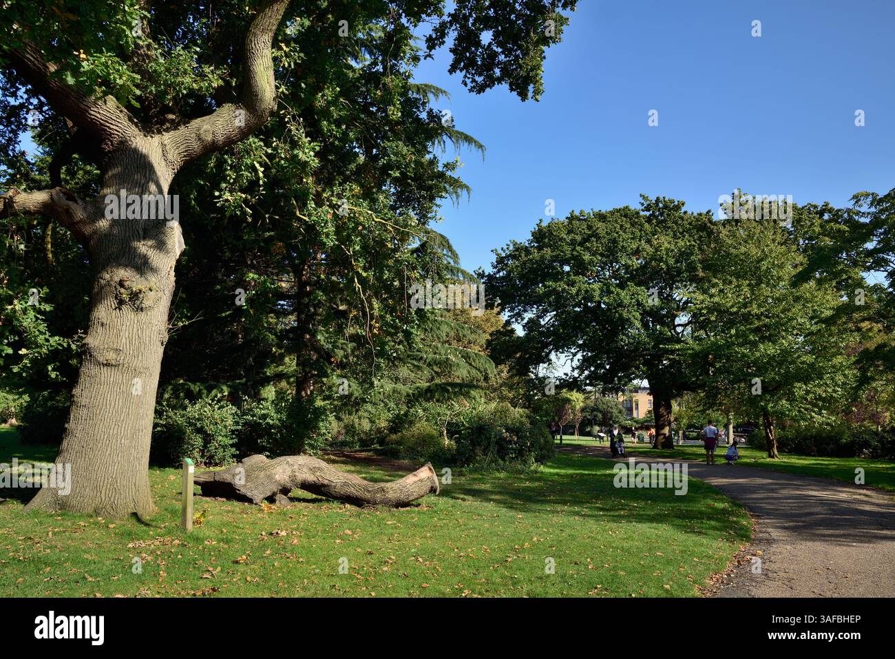 Finsbury Park, London, Großbritannien, im frühen Herbst Stockfoto