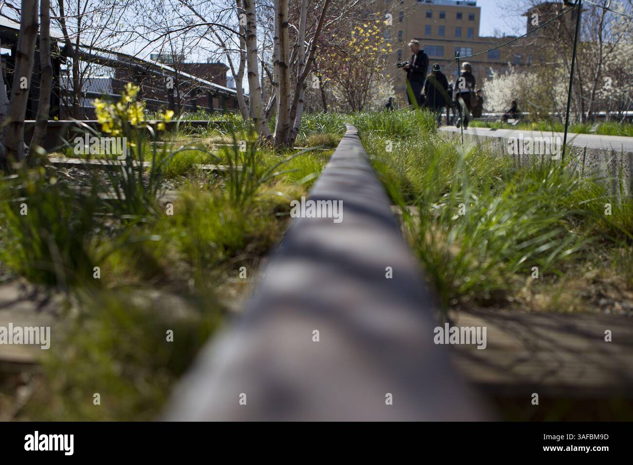 30. März 2012 - Manhattan, NY, USA - der Frühling entspringt der High Line von Manhattan, einem 1,6 km langen, linearen Park, der auf einem ehemaligen Hochsporn der New York Central Railroad entlang der unteren Westseite von Manhattan gebaut wurde. Der lineare Park bietet einen einzigartigen Blick auf New York City und ist eine willkommene Restaurierung der Gegend, die den Bau neuer Eigentumswohnungen und Einzelhandelsgeschäfte in der Gegend vorangetrieben hat. Der High Line Park verläuft derzeit von der Gansevoort Street, einen Block unterhalb der West 12th Street, im Meatpacking District, bis zur 30th Street. (Kreditbild: © Christopher Drost/SHIFT Digital/ZUMAPRESS.com) Stockfoto