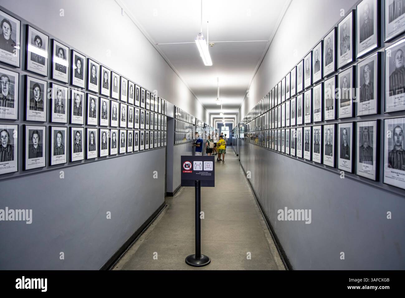 Auschwitz, Polen, 16. Juli 2023: Reihe einiger toter Gefangener Bilder, darunter Kinder, Mütter und ältere Menschen. Stockfoto