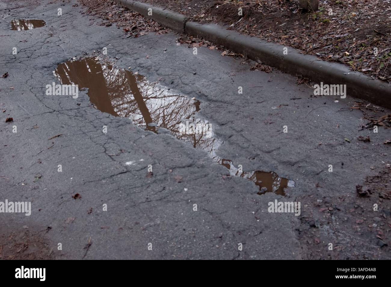 Die schwarzen Zweige der Bäume spiegeln sich in der Pfütze Stockfoto