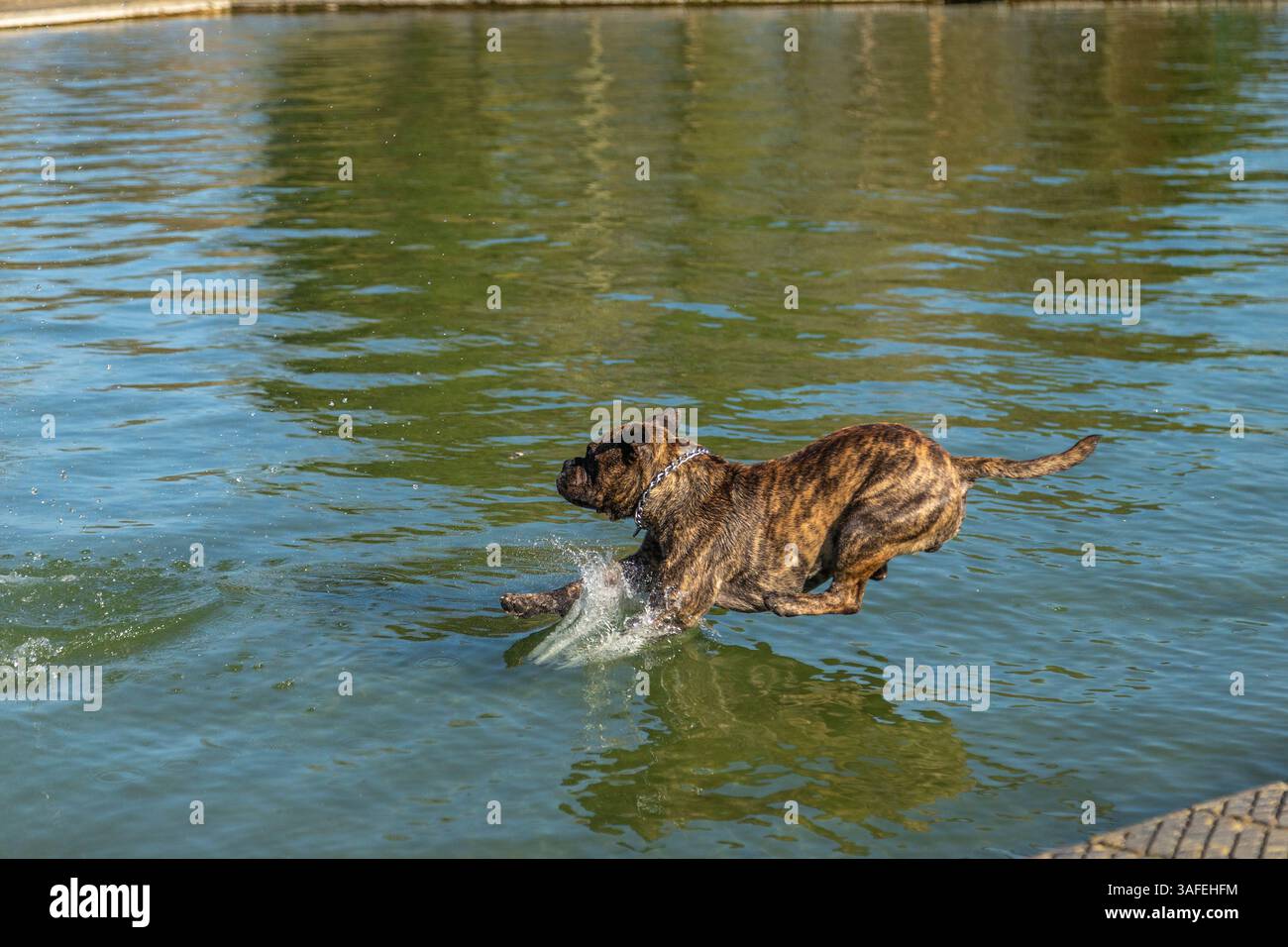 Ein warmer, sonniger Nachmittag, um Abington Park, Northampton, England, Großbritannien, zu genießen. Quelle: Keith J Smith./Alamy Live News. Stockfoto