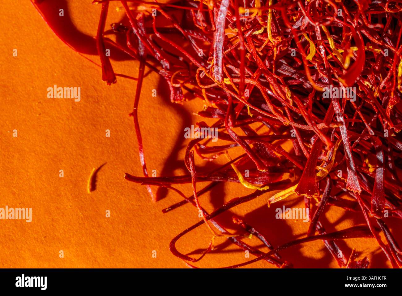 Leuchtend rote Safranfäden am rechten Rand isoliert auf orangem strukturiertem Hintergrund, helles Sonnenlicht, Kopierraum von oben nach unten Stockfoto