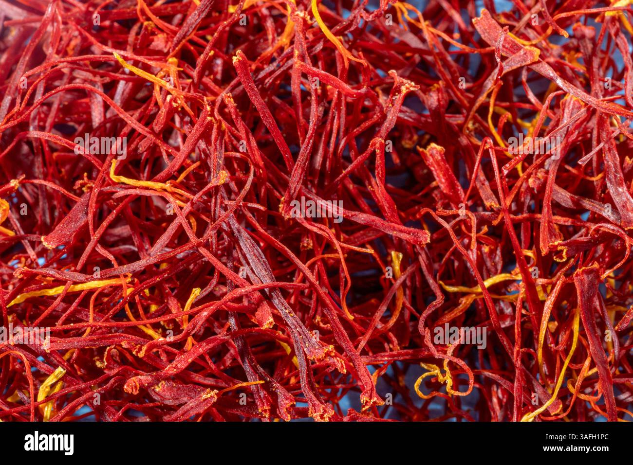 Leuchtendes Rot und Gelb Safranfäden Hintergrund auf blauem Vollbild, Ansicht von oben nach unten Stockfoto
