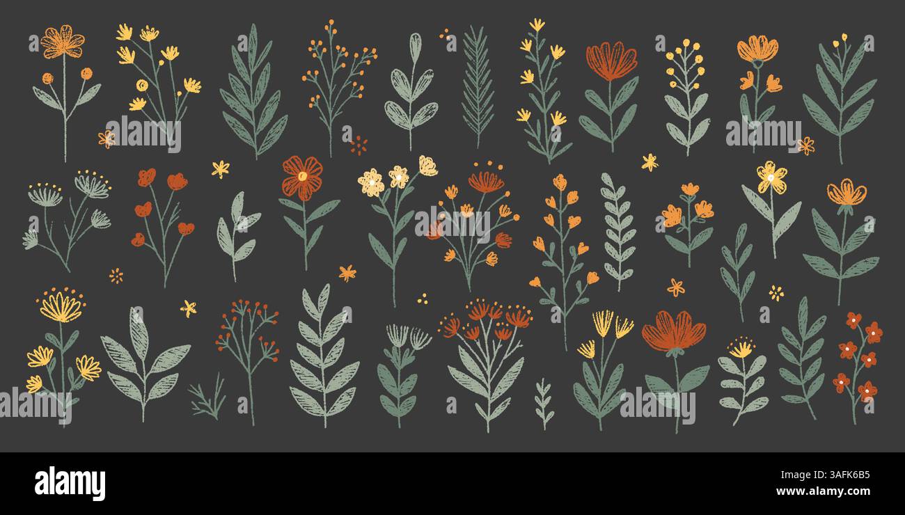 Set aus botanischen Elementen der Frühlingsfarbe Kreide. Buntstifte Blumen und Kräuter in verschiedenen Farben auf Tafel. Realistische Kreidezeichnungen. Vektorillustratio Stock Vektor