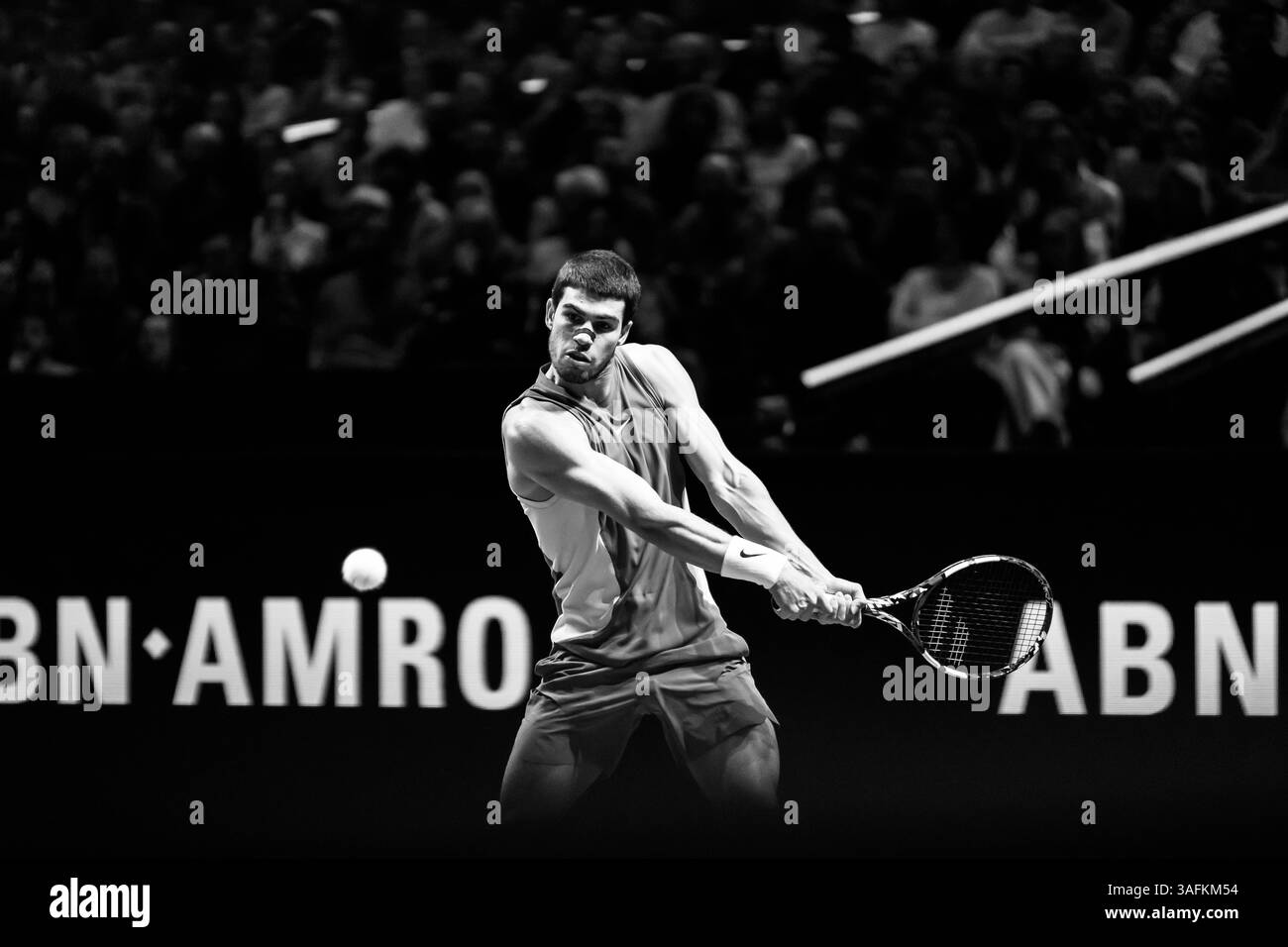 Rotterdam, Niederlande. Februar 2025. ROTTERDAM, NIEDERLANDE - 6. FEBRUAR: Carlos Alcaraz während der ABN AMRO Open in Rotterdam Ahoy am 6. Februar 2025 in Rotterdam, Niederlande. (Foto von Marleen Fouchier/Orange Pictures) Credit: Orange Pics BV/Alamy Live News Stockfoto