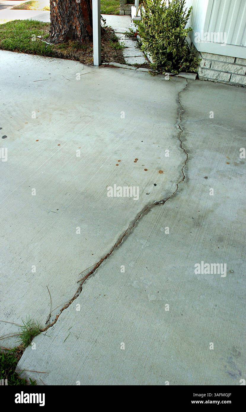 AN NP-SCHREIBTISCH LIEFERN---27.5.2004---BAUMPROBLEM OAKCREST? ACORN MOBILE HOME PARK--4. Risse sind im Zementboden eines Parkdecks in einem Mobilheim im Acorn-Abschnitt des Oakcrest/Acorn Mobile Home Park in Largo aufgetreten. Die Besitzer sagen, dass die Risse von einer großen Kiefer in der Nähe verursacht wurden. (Bild: St. Petersburg Times/ZUMAPRESS.com) Stockfoto