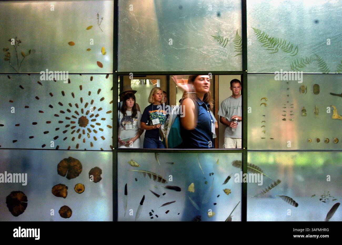 LIEFERUNG AN NP-SCHREIBTISCH - 1) Interpretation Naturforscher Kelly Victory (CQ), Zentrum von Crystal Beach, erklärt Lehrern und Lehrern eine Reihe von natürlichen Artefakten, die in Polyestergussharzplatten aufgehängt sind (Credit Image: St Petersburg Times/ZUMAPRESS.com) Stockfoto