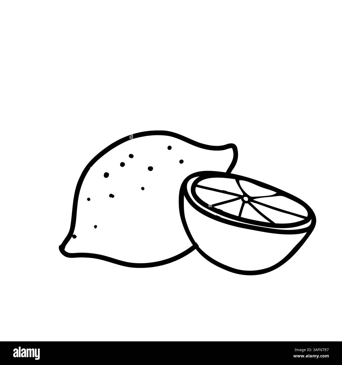 Zitrone, ganze Früchte und halbe Scheibe. Hand gezeichnete Vektor-Kritzelelemente von Zitrus. Schwarz-weiß-Strichgrafik auf weißem Hintergrund. Für das Produkt Stock Vektor