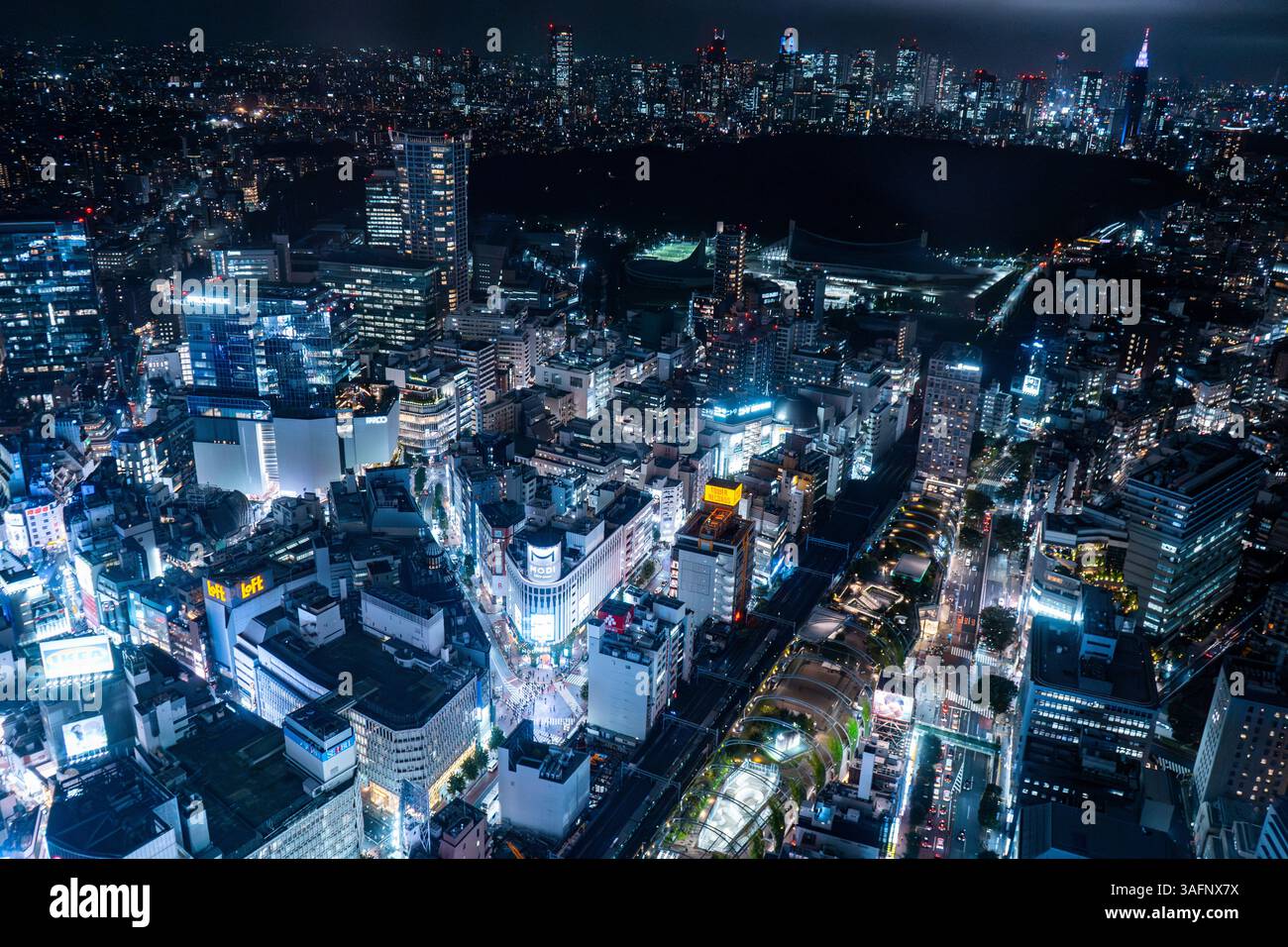 Skyline von Tokio von oben Stockfoto