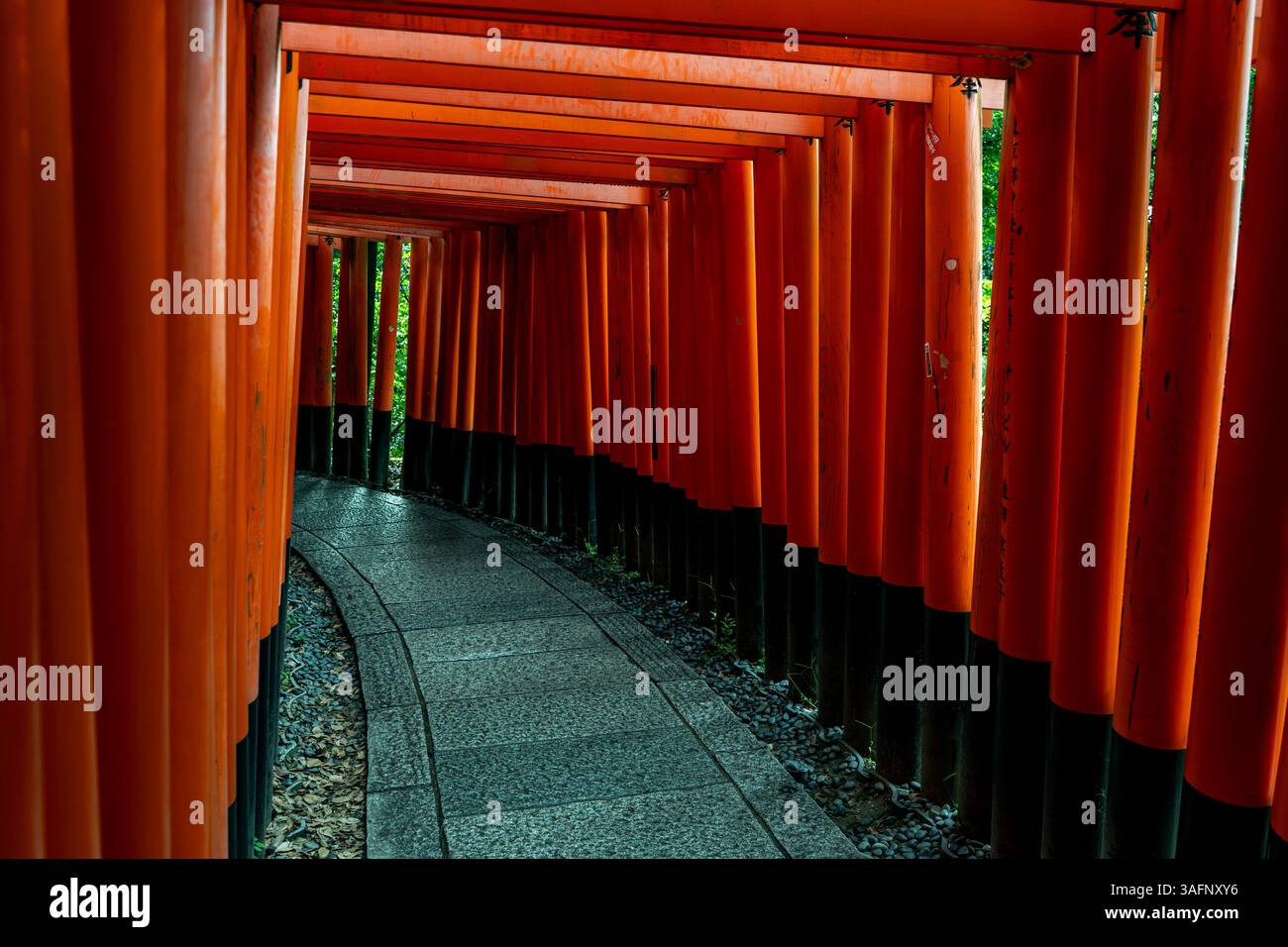 Torii-Tore des Shinto-Schreins Fushimi Inari Taisha in Kyoto, Japan Stockfoto