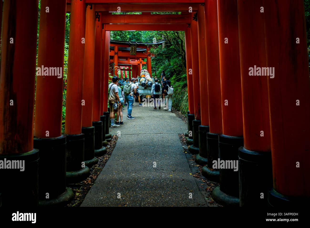 Wartung der Torii-Tore am Fushimi Inari Taisha Shinto-Schrein in Kyoto, Japan Stockfoto