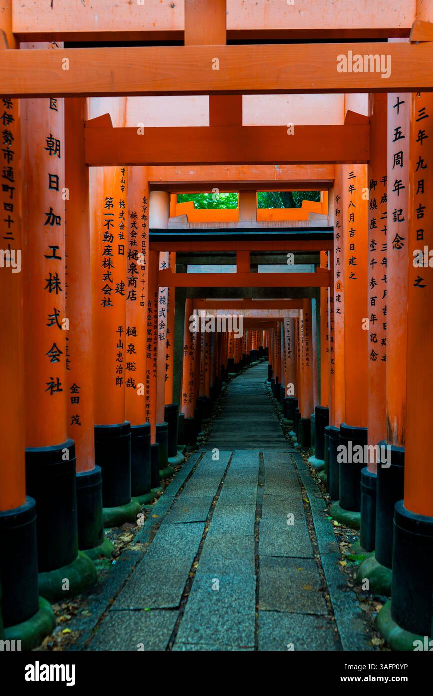Torii-Tore des Shinto-Schreins Fushimi Inari Taisha in Kyoto, Japan Stockfoto