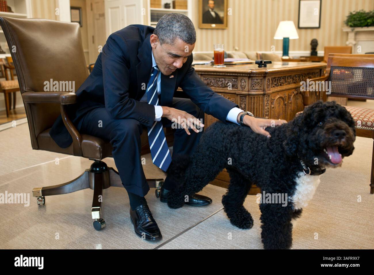 21. Juni 2012 – Washington, District of Columbia, USA – Präsident BARACK OBAMA PET BO, der Hund der Familie Obama, im Oval Office. (Bild: © Pete Souza/The White House/ZUMAPRESS.com) Stockfoto